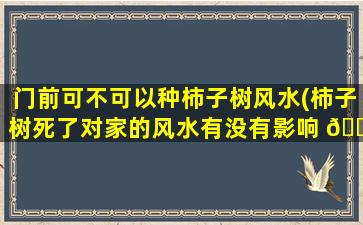 门前可不可以种柿子树风水(柿子树死了对家的风水有没有影响 🌹 )